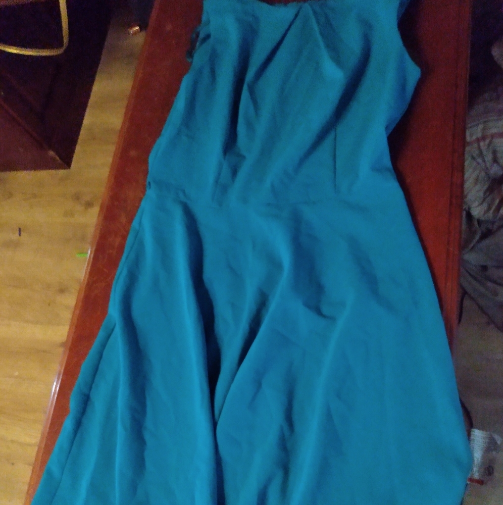 Woman's Blue Dress